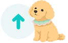 先頭へ戻る